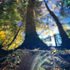 pinhole